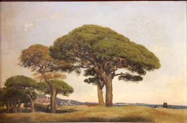Les pins de la Bocca